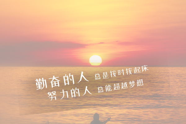 上海海事大学考研辅导班-上海海事大学管理科学与工程考研难吗