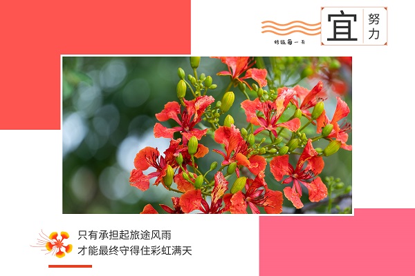 复旦大学考研辅导班-复旦大学考研难吗?
