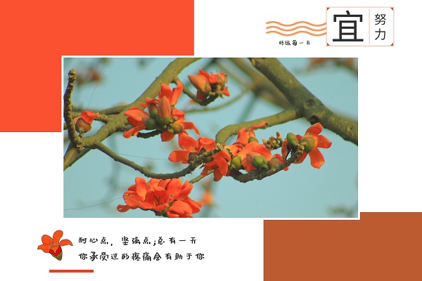 云南大学考研辅导-云南大学新闻与传播硕士MJC考研难吗?