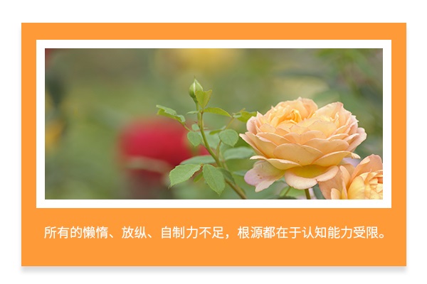 西南交通大学考研辅导班：信息安全专业考研难吗?