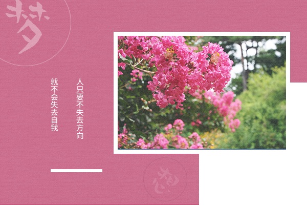 郑州大学考研辅导班-郑州大学化学工艺考研难吗?