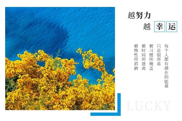东北林业大学考研辅导班：农业工程与信息技术考研难吗?