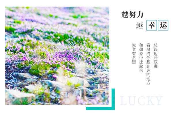 [华东理工大学考研辅导班]华东理工大学工商管理考研难吗?
