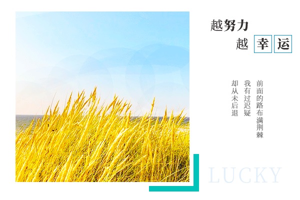 [华北电力大学考研辅导班]华北电力大学能源动力考研难吗?