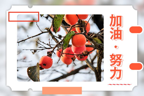 北京理工大学考研辅导班：安全科学与工程考研好上岸吗？