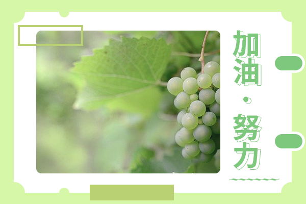 西北大学考研辅导班：行政管理考研难不难?