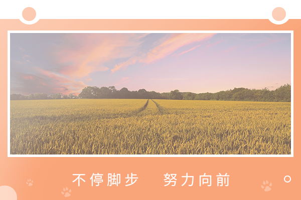 东南大学考研辅导班：心理学考研难吗？